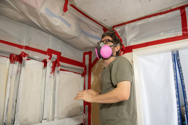 Best Post-Construction Mold Inspection  in Ypsilanti, MI
