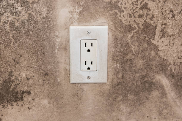 Best Asbestos and Lead Testing During Mold Inspection  in Ypsilanti, MI